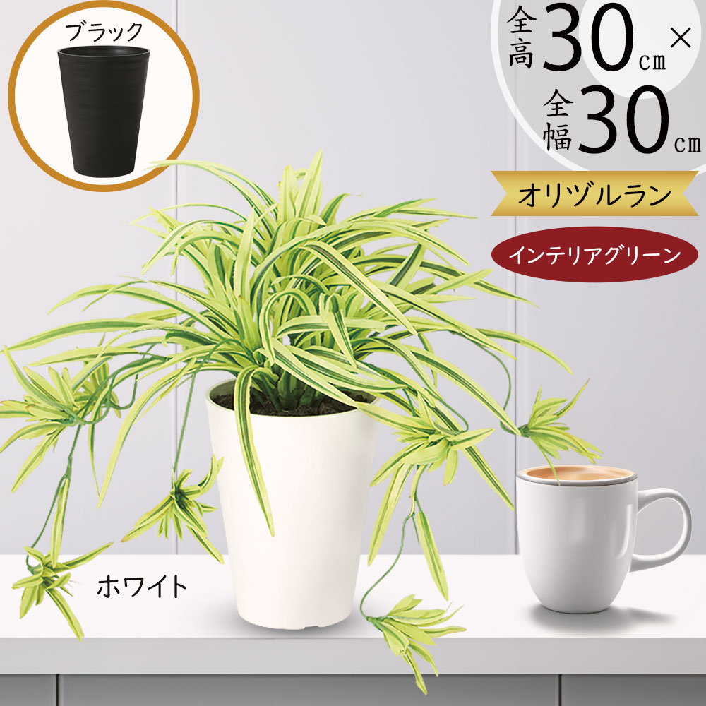 オリズルラン インテリアグリーン おしゃれ 人気 フェイクグリーン