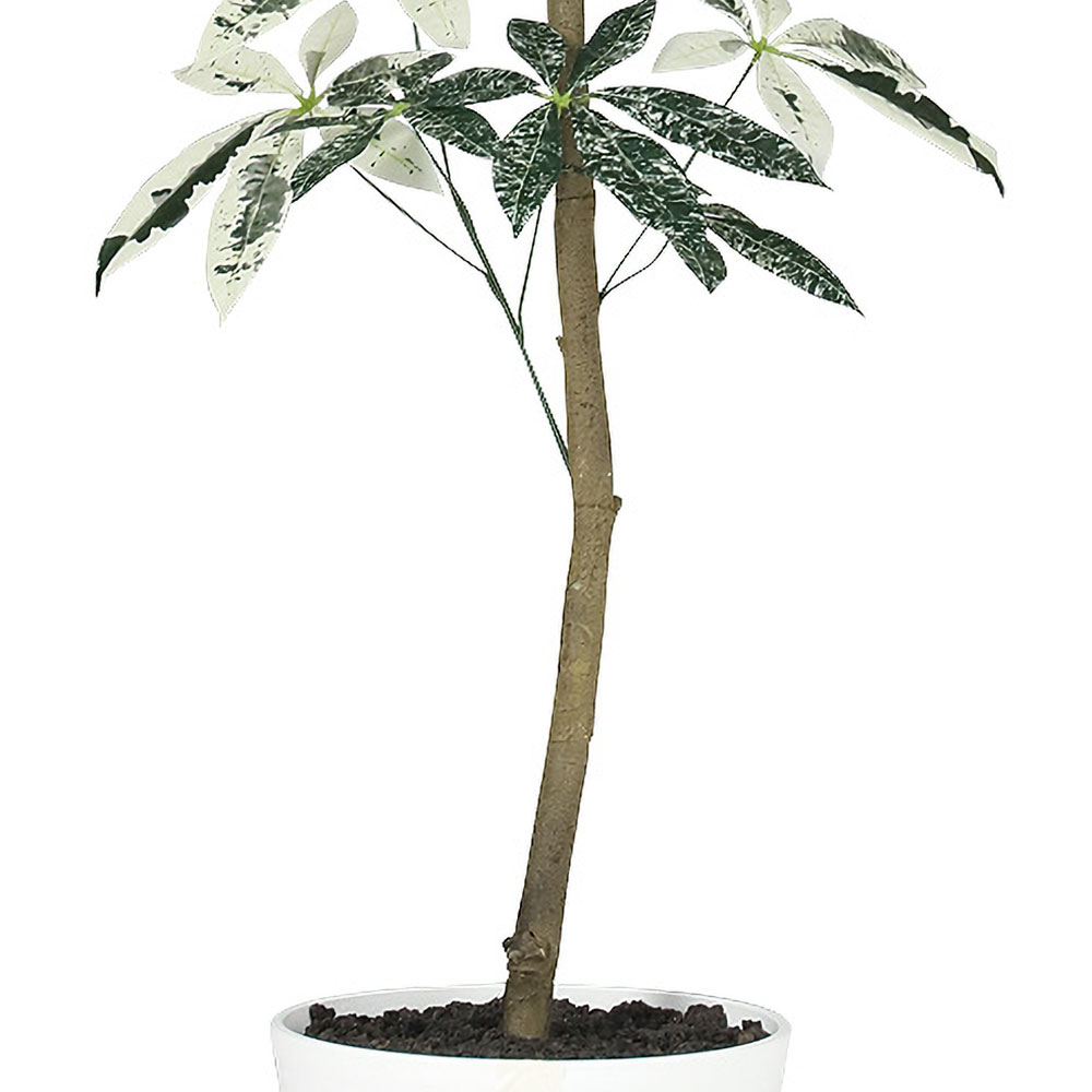 光触媒　人工観葉植物　ウォールグリーン　フェイク　斑入りパキラミルキーウェイ パキラ ミルキーウェイ おしゃれ 大型 インテリアグリーン 人工