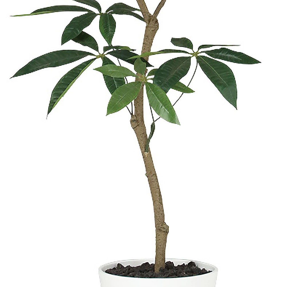 パキラ インテリアグリーン おしゃれ 観葉植物 フェイクグリーン