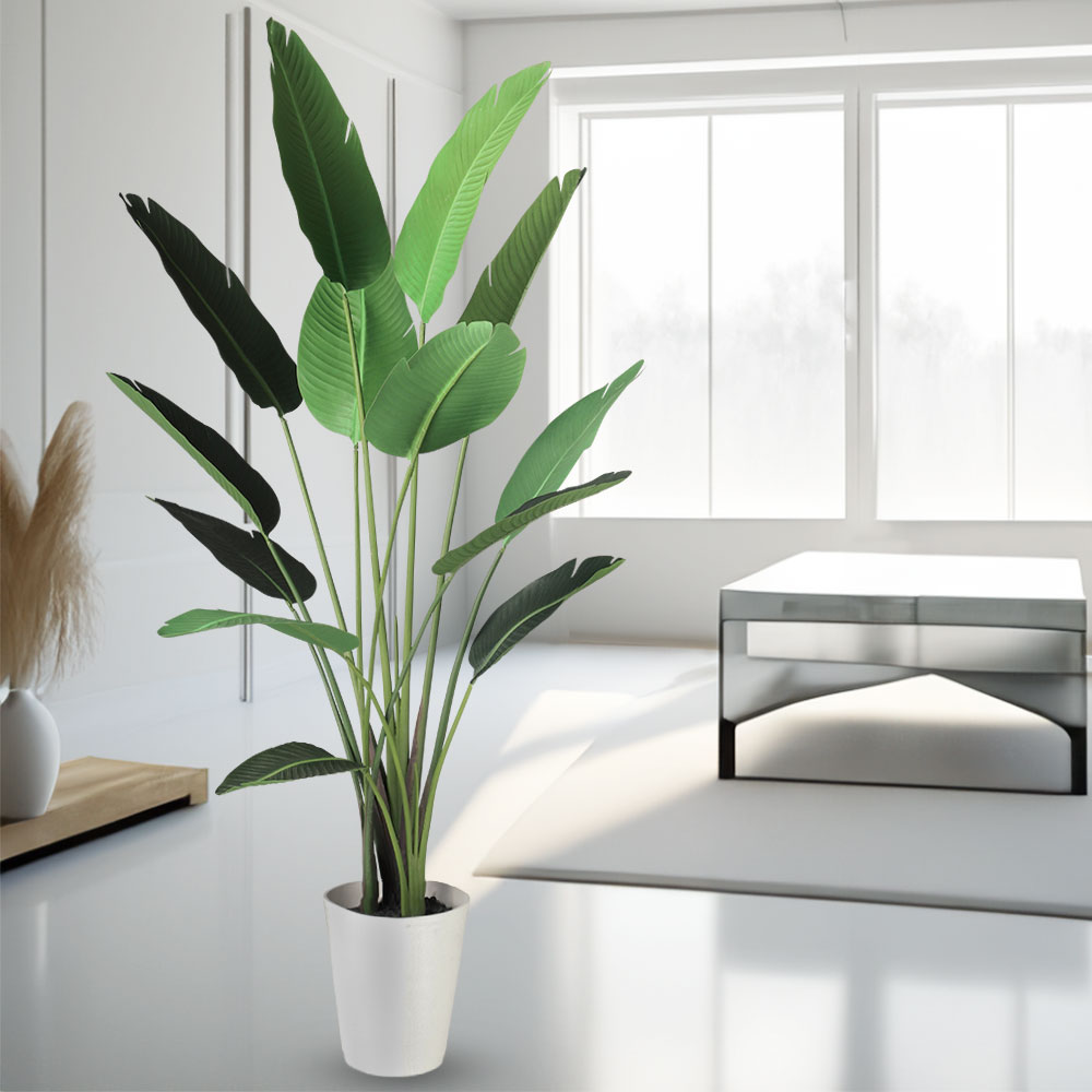 ストレリチア ストレチア 大型 観葉植物 おしゃれ 人気 インテリア