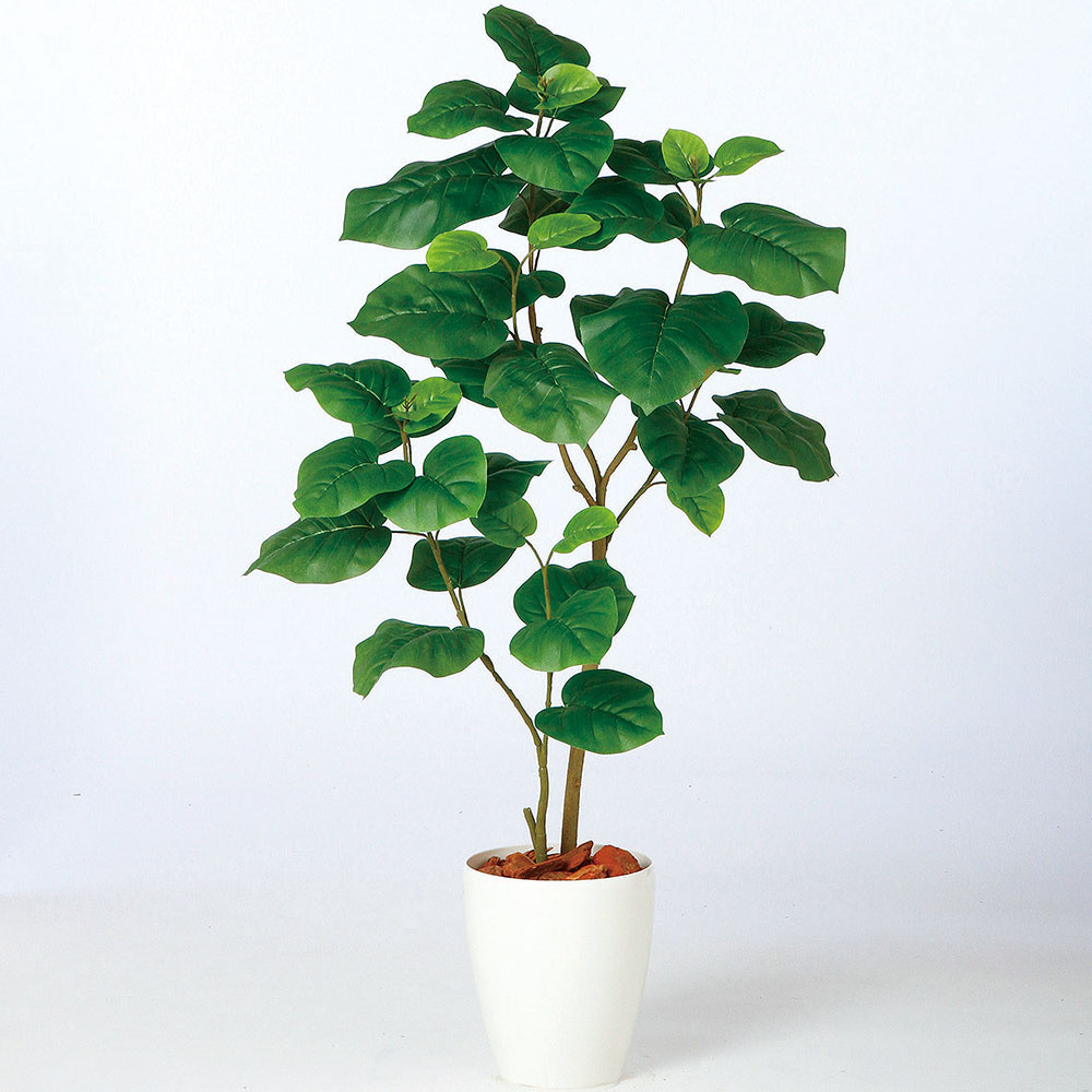 ウンベラータ おしゃれ 観葉植物 インテリアグリーン フェイクグリーン