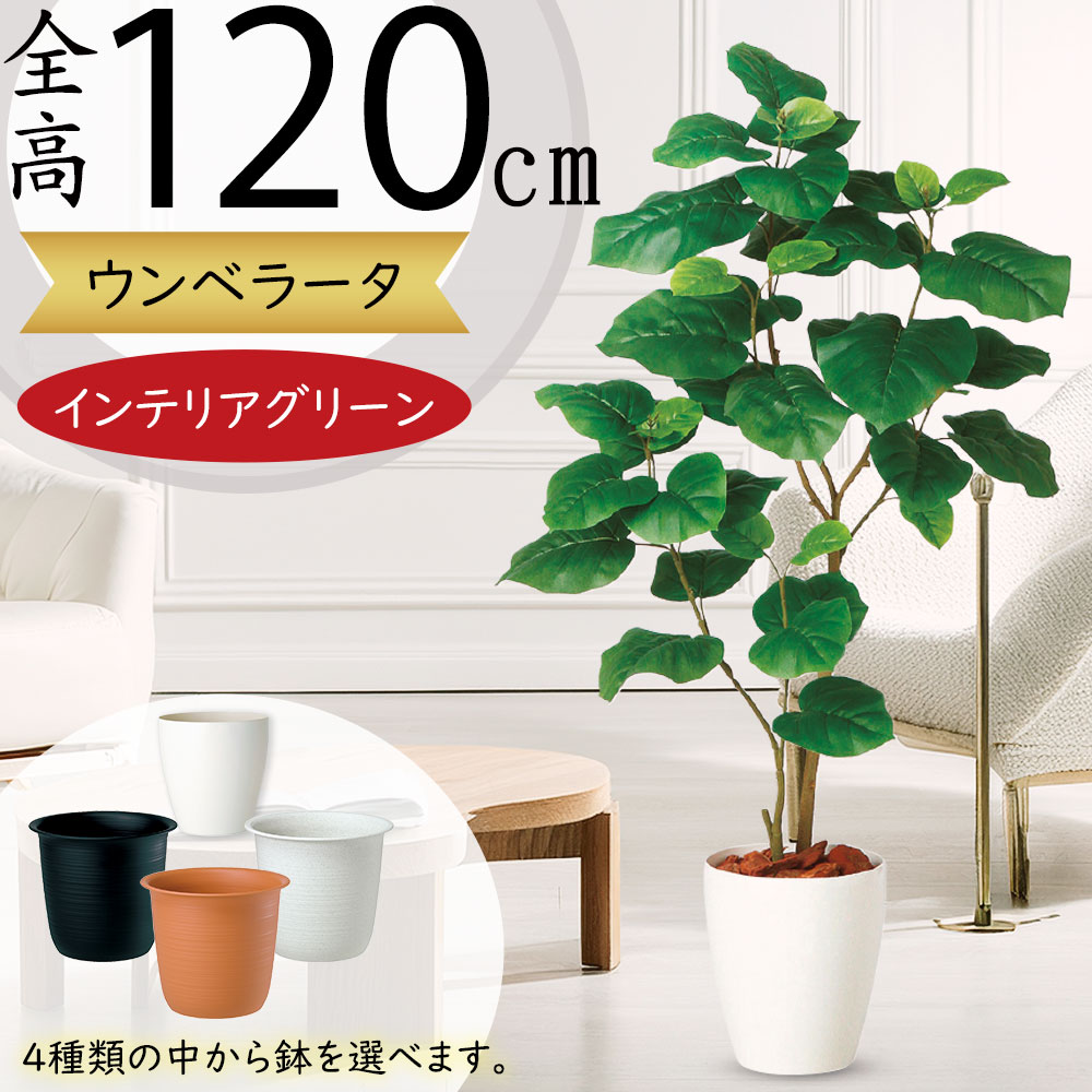 ウンベラータ おしゃれ 観葉植物 インテリアグリーン フェイクグリーン