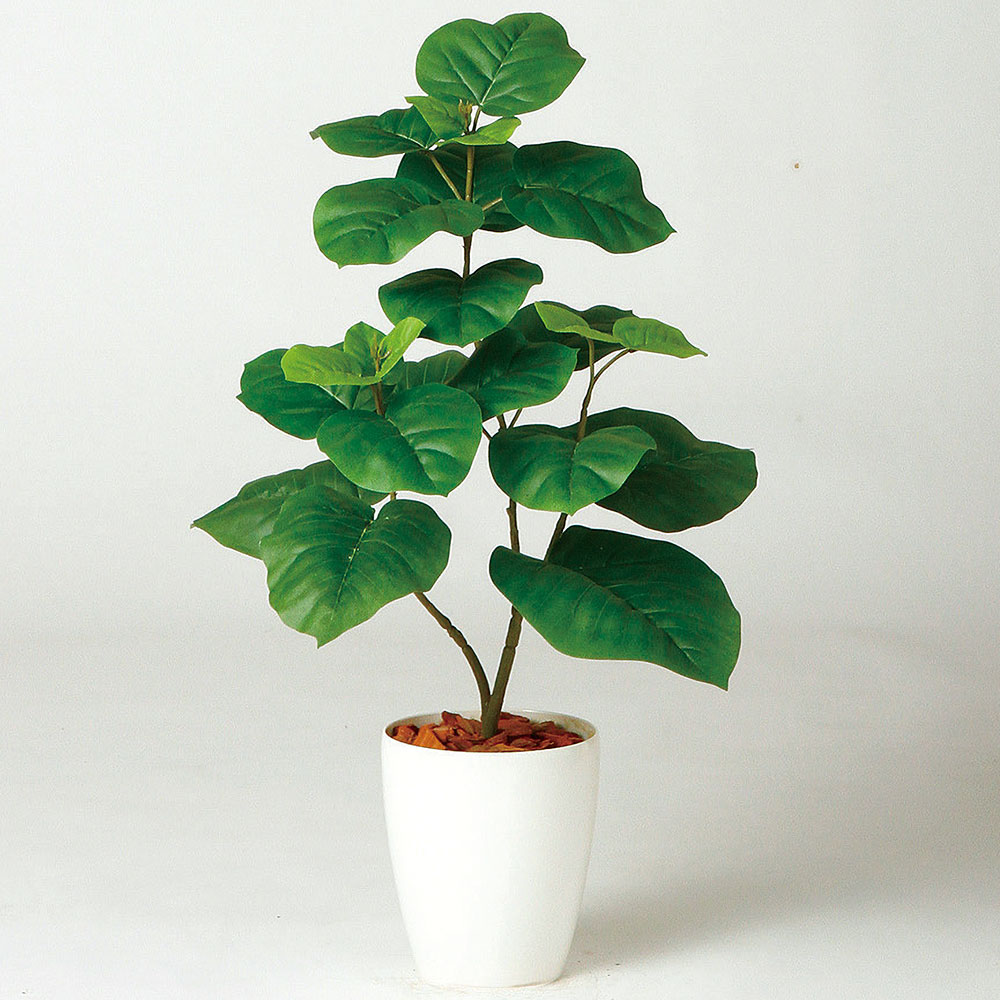 ウンベラータ おしゃれ 観葉植物 インテリアグリーン フェイクグリーン