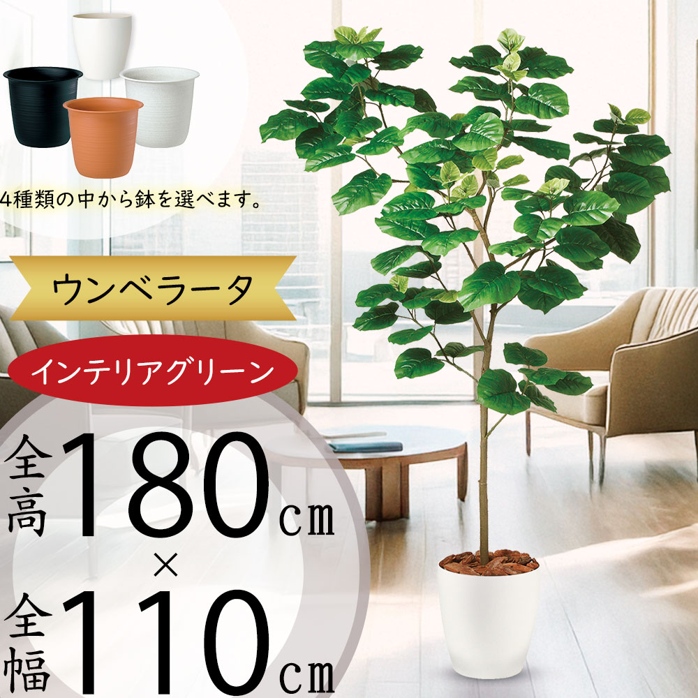 造花 鉢 大型 フェイクグリーン 人工観葉植物　ウンベラーダ フェイクグリーン ウンベラータ H約185cm 鉢付き / 観葉植物