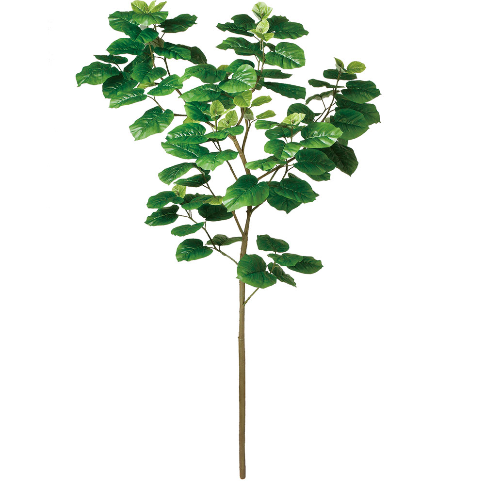 ウンベラータ 180cm（人工観葉、フェイクグリーン） | 花