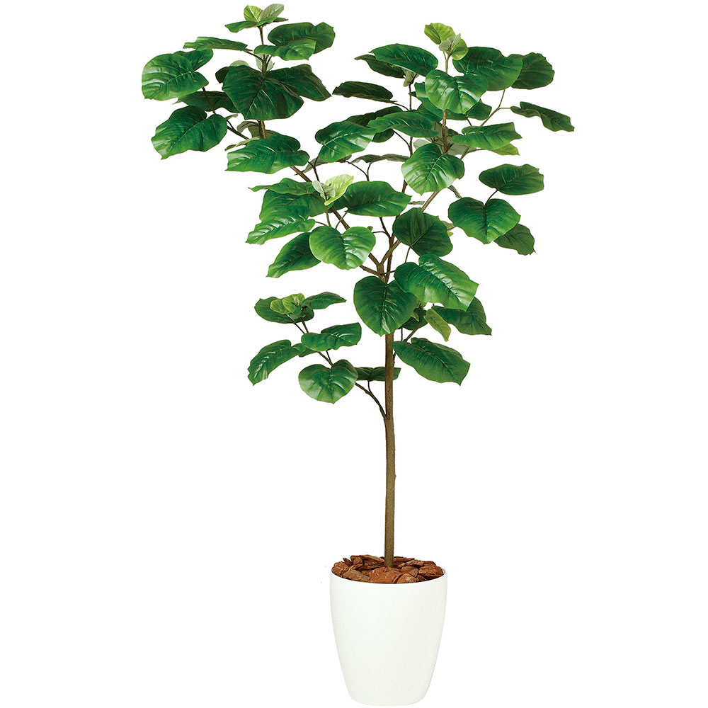 ウンベラータ おしゃれ 人気 観葉植物 インテリアグリーン フェイク