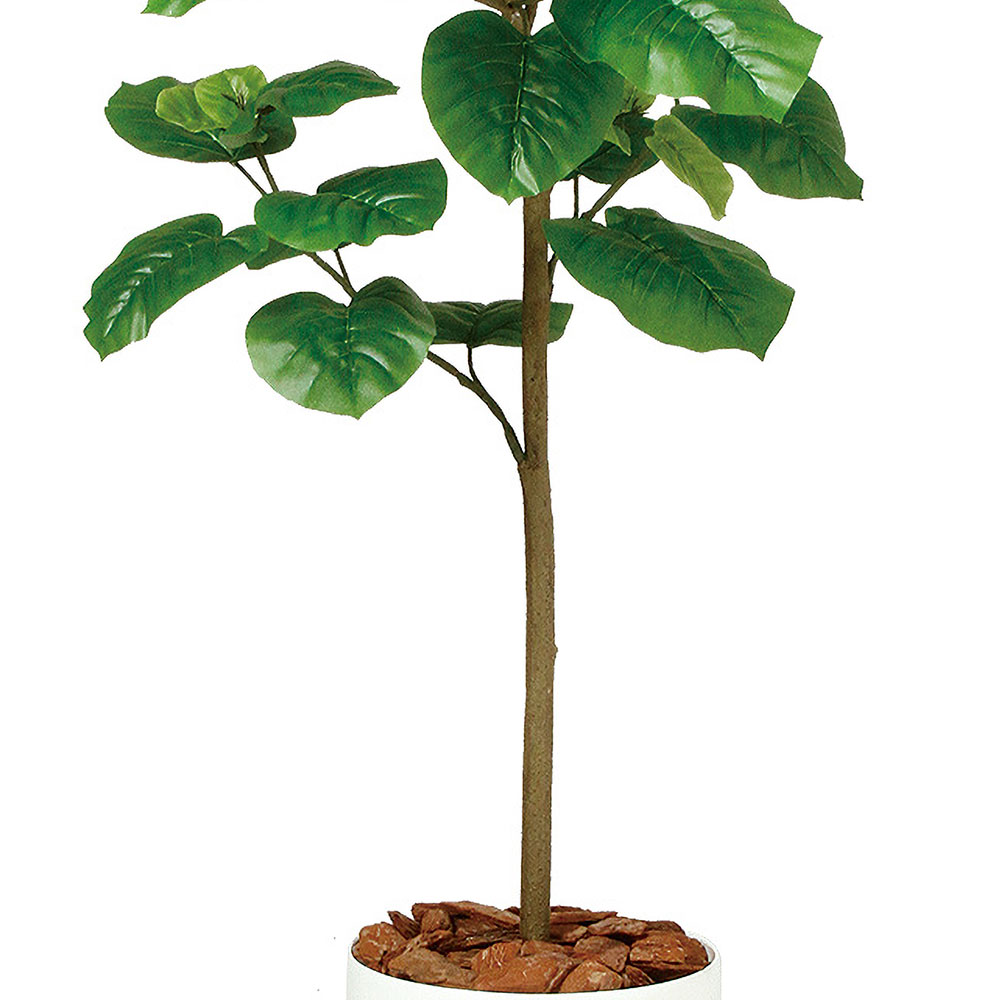 ウンベラータ おしゃれ 人気 観葉植物 インテリアグリーン フェイク
