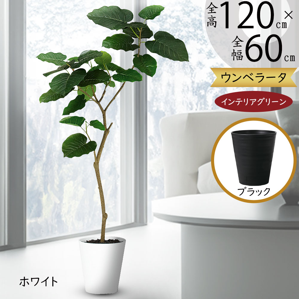 ウンベラータ おしゃれ 観葉植物 インテリアグリーン フェイクグリーン