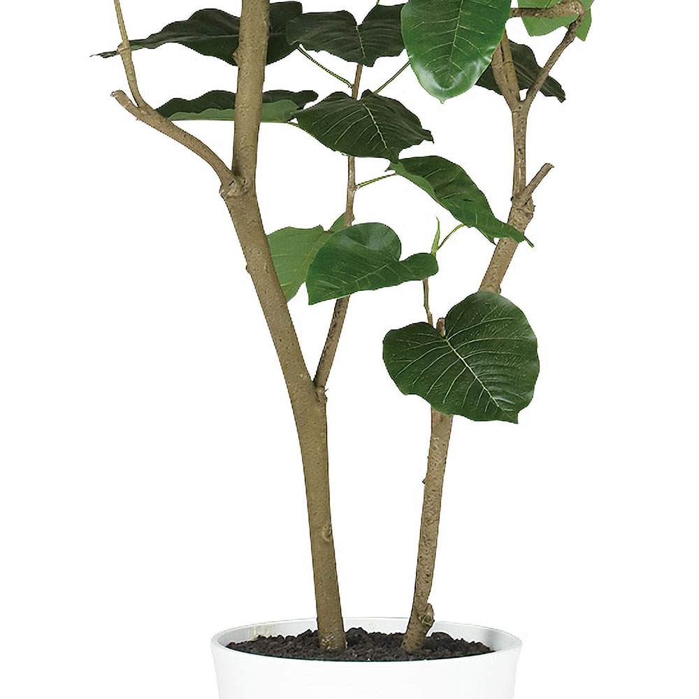 ウンベラータ 大型 おしゃれ 観葉植物 インテリアグリーン フェイク