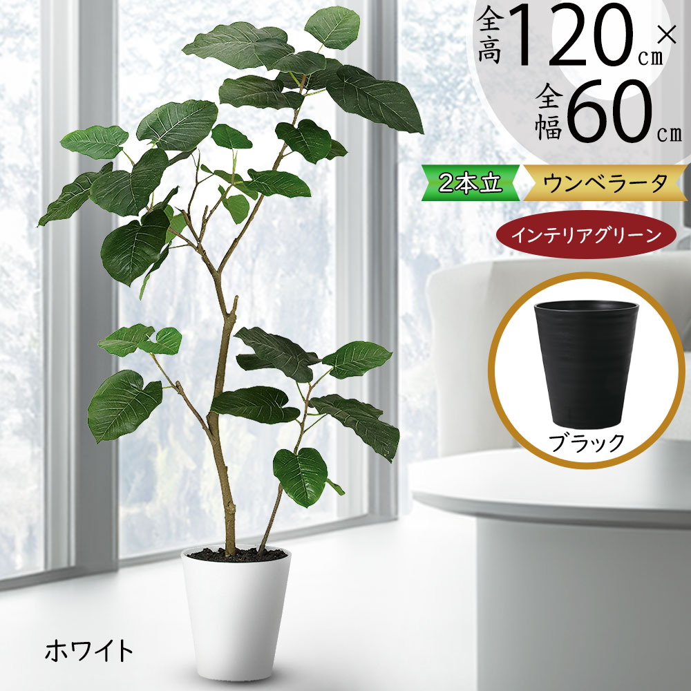 ウンベラータ おしゃれ 観葉植物 インテリアグリーン フェイクグリーン