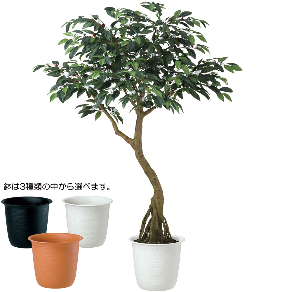 コーヒーの木 人工観葉植物 大型 特大 実付き おしゃれ フェイクグリーン リアル インテリアグリーン おすすめ 観葉植物 造花 アートグリーン  コアッド 230cm : t23k99345 : インテリアグリーンと植木鉢の通信販売 - 通販 - Yahoo!ショッピング