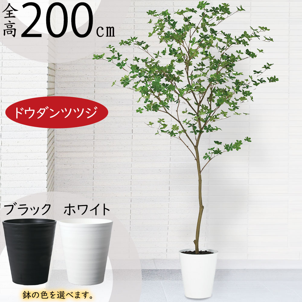 人工観葉植物 おしゃれ 大型 観葉植物 フェイクグリーン インテリア