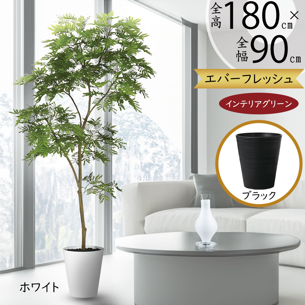 エバーフレッシュ　『ネムノキ』〈定番人気・現品限り〉【インテリアグリーン】 楽天市場】フェイクグリーン 屋外用 屋外対応 おしゃれ ネムノキ