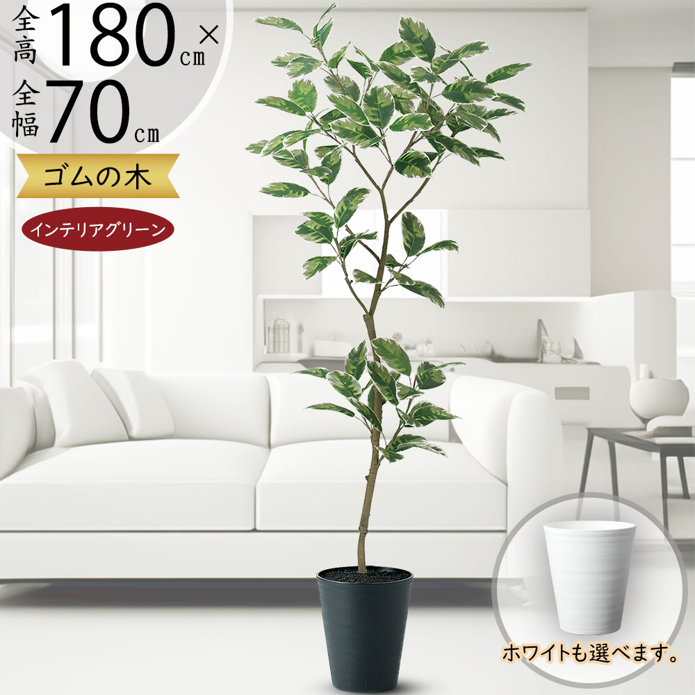 ⑨【処分価格】新品 ゴムの木(180cm) 人工観葉植物 フェイクグリーン