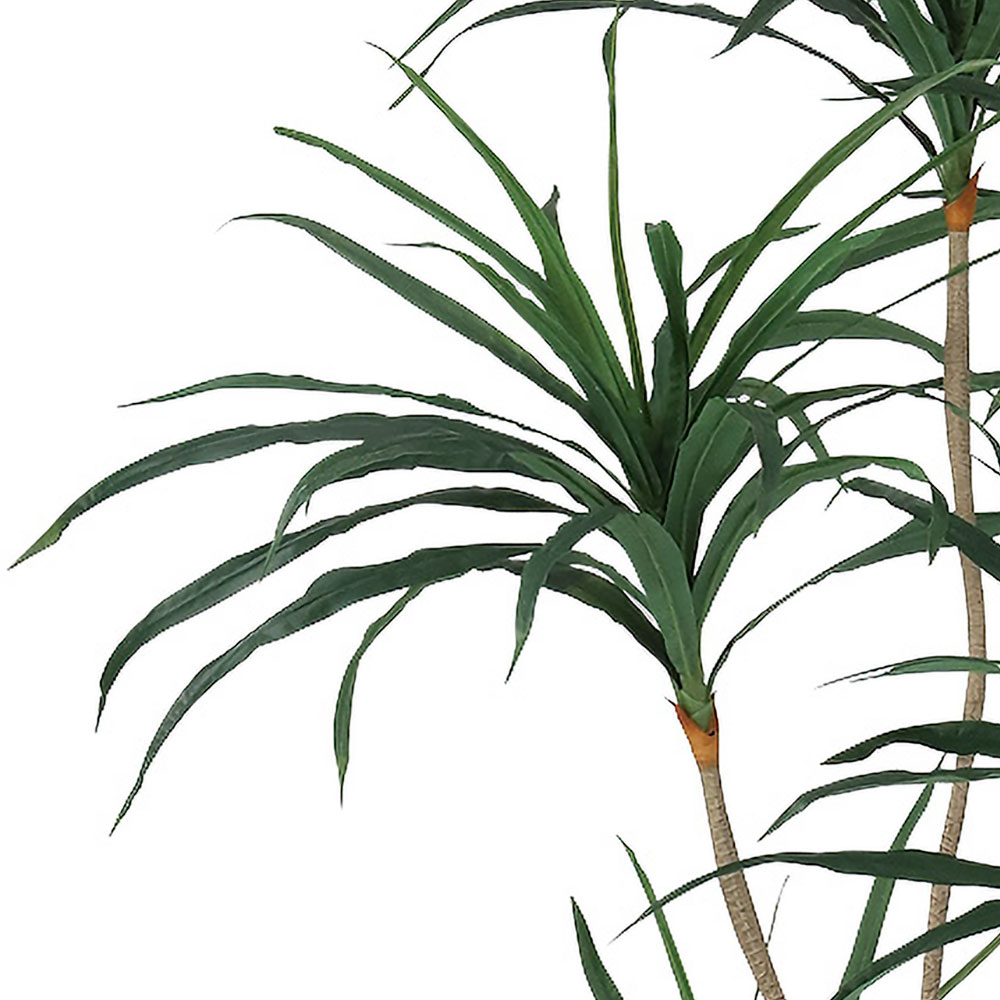 ドラセナ コンシンネ 大型 インテリアグリーン おしゃれ 人気 フェイク