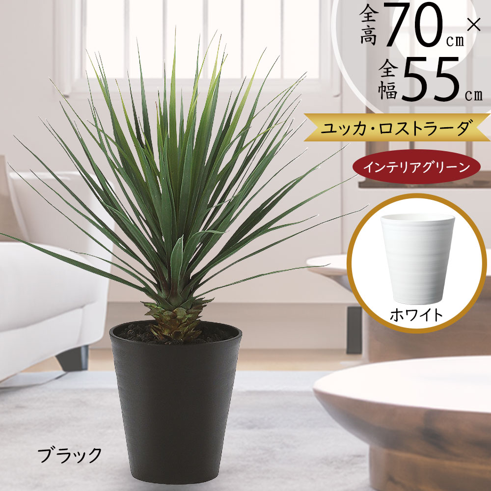 光触媒人工観葉植物ウォールグリーンフェイクフラワハンドメイド　ユッカロストラータ 楽天市場】ユッカ ロストラータ（造花・人工観葉植物｜花・観葉