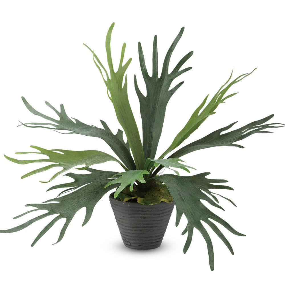 光触媒　人工観葉植物　ウォールグリーン　フェイクグリーン　コウモリランモスボール ビカクシダ コウモリラン インテリアグリーン おしゃれ 観葉植物