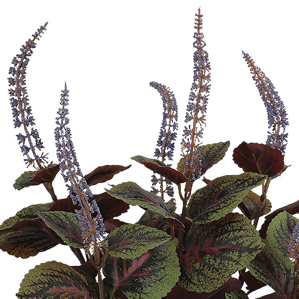 コリウス インテリアグリーン おしゃれ 観葉植物 フェイクグリーン