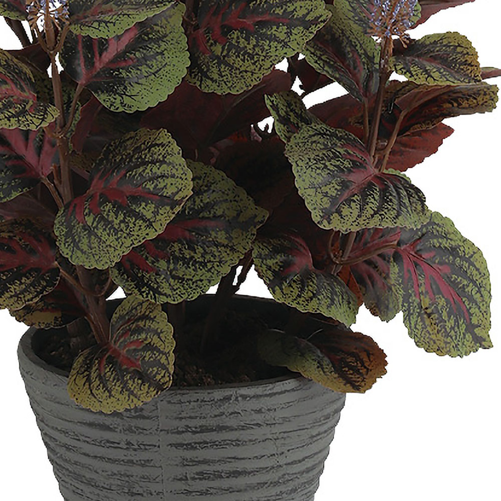 光触媒　観葉植物　ウォールグリーン　フェイクグリーン　ウオールタイプコリウス45 光触媒 人工観葉植物 ウォールグリーン フェイクグリーン 壁掛け50560