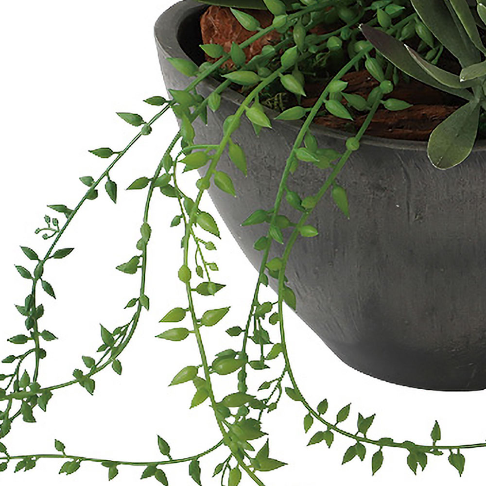 インテリアグリーン おしゃれ 小型 観葉植物 ...の詳細画像4