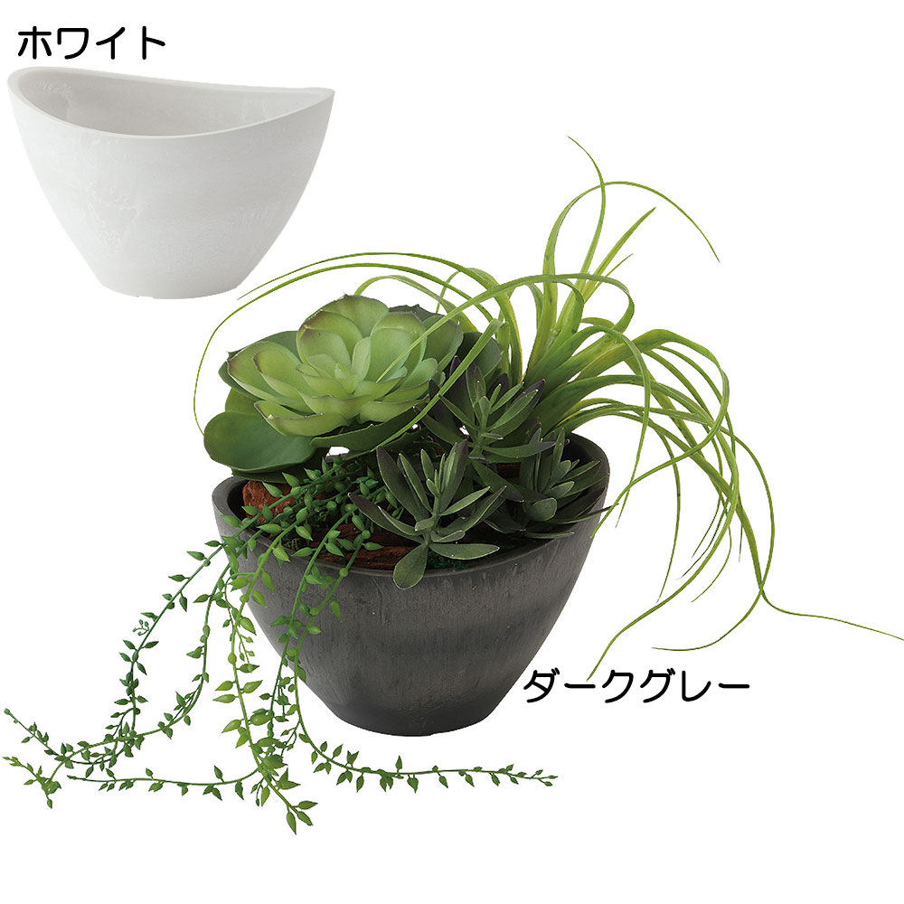 インテリアグリーン おしゃれ 小型 観葉植物 ...の詳細画像1