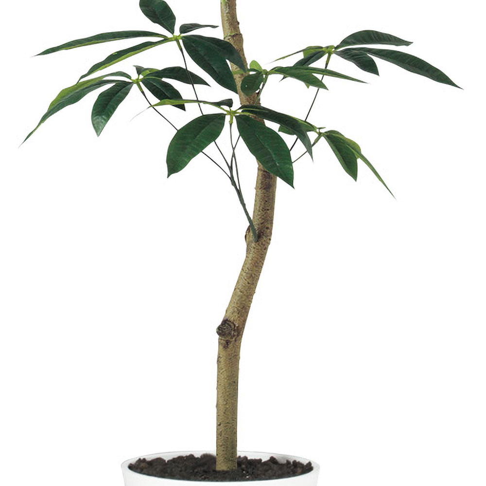 パキラ インテリアグリーン 大型 おしゃれ 観葉植物 フェイク