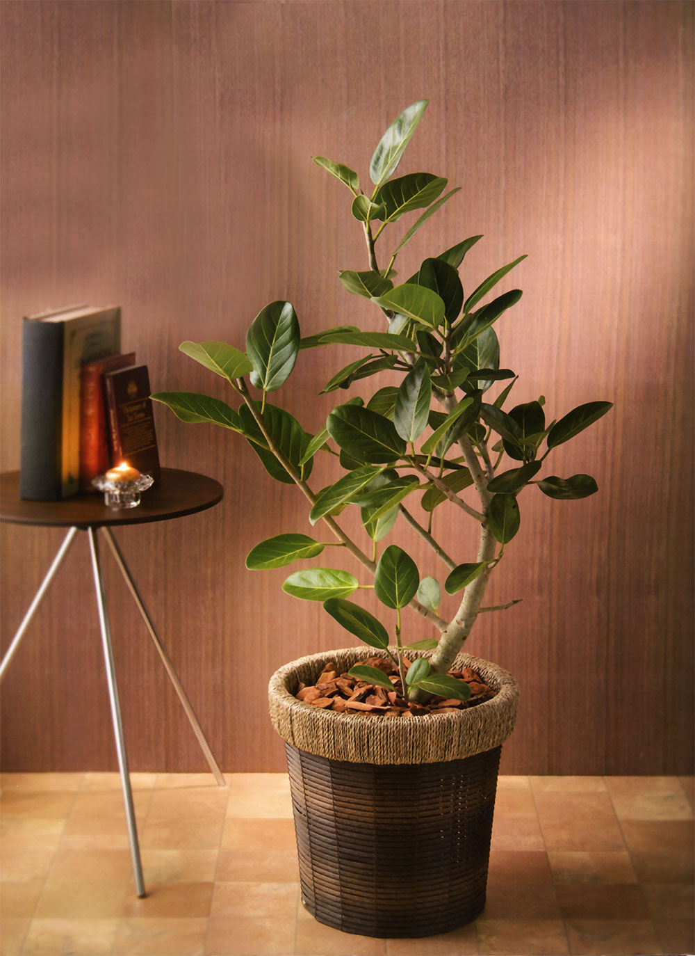 アートフラワー観葉植物 2つセット ガラスバスケット ガラスベースツートンM グリーン | AXCIS ONLINE