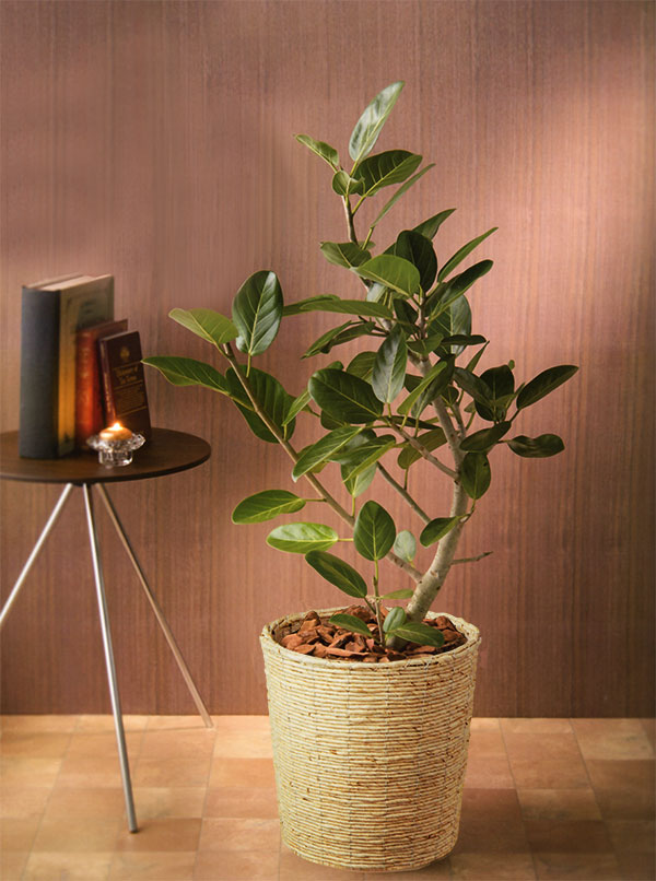 【限定値引き】植木鉢カバー　カゴ バスケット かご　北欧　観葉植物 鉢カバー 大型 バスケット おしゃれ 人気 かご プランター インテリア