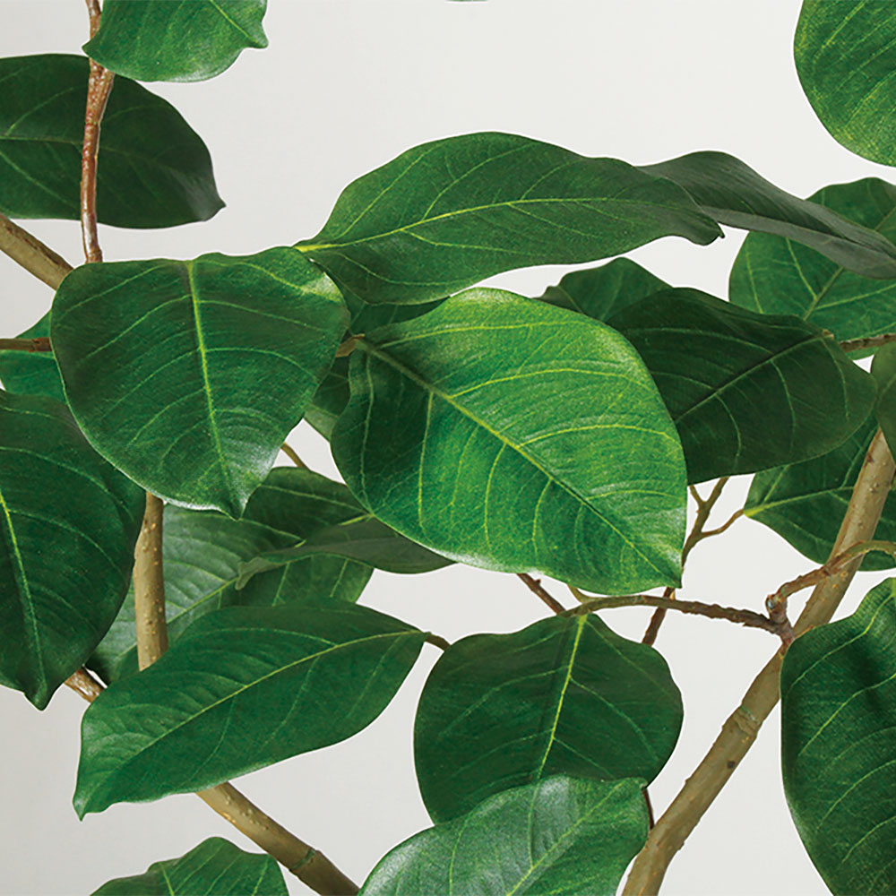 光触媒　人工観葉植物　ウォールグリーン　フェイクグリーン　インドボダイジュFST 光触媒 人工観葉植物 ウォールグリーン フェイクグリーン インド