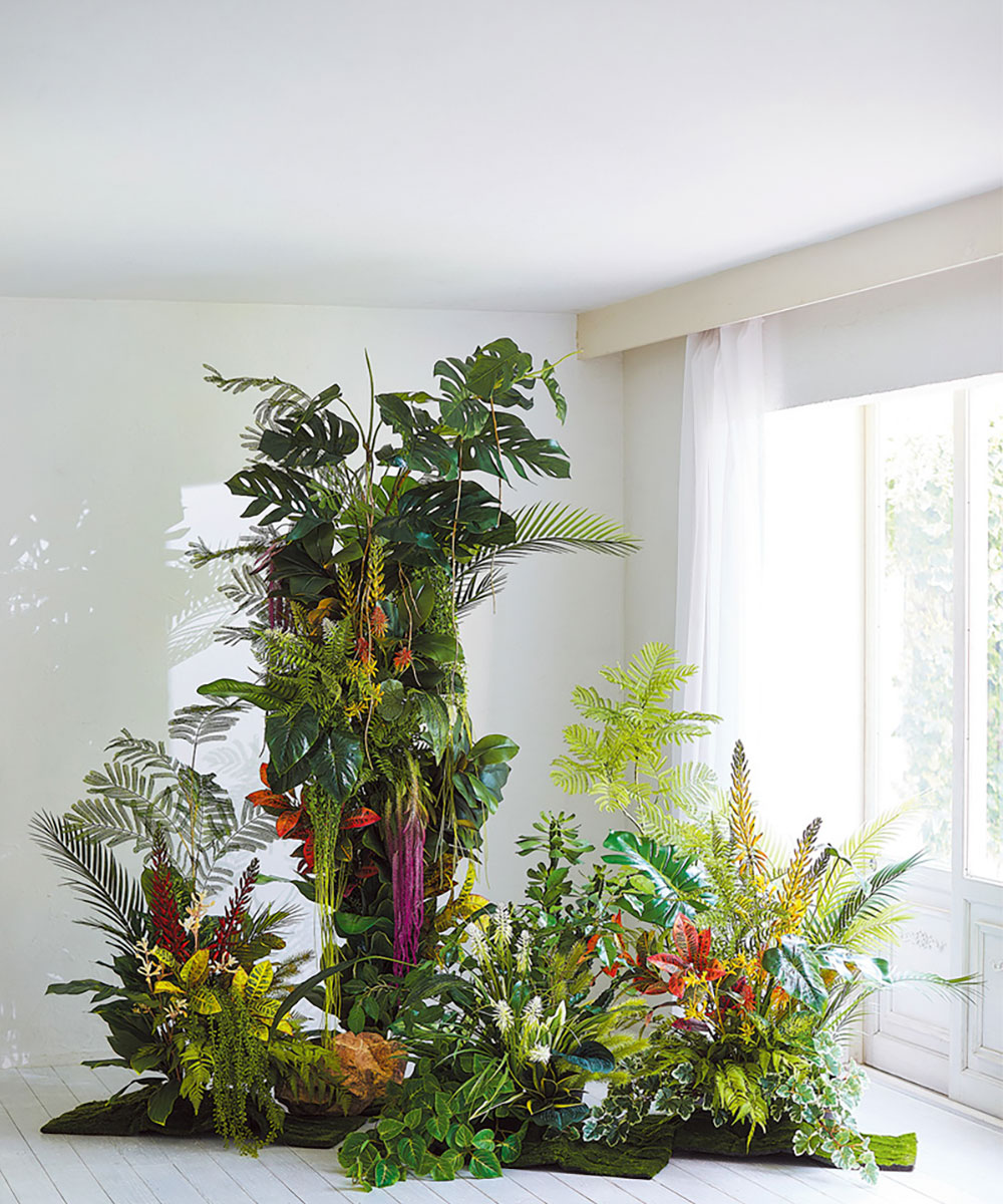 観葉植物 クロトンのおすすめ人気商品一覧 通販 - Yahoo!ショッピング