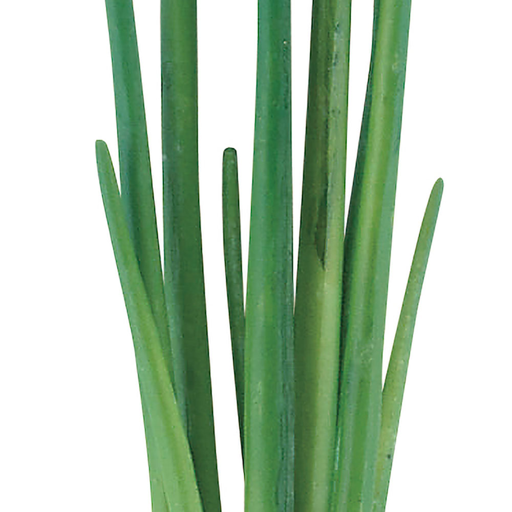 食品サンプル 万能ねぎ ネギ 小ねぎ ねぎ 葱 リアル フェイクフード