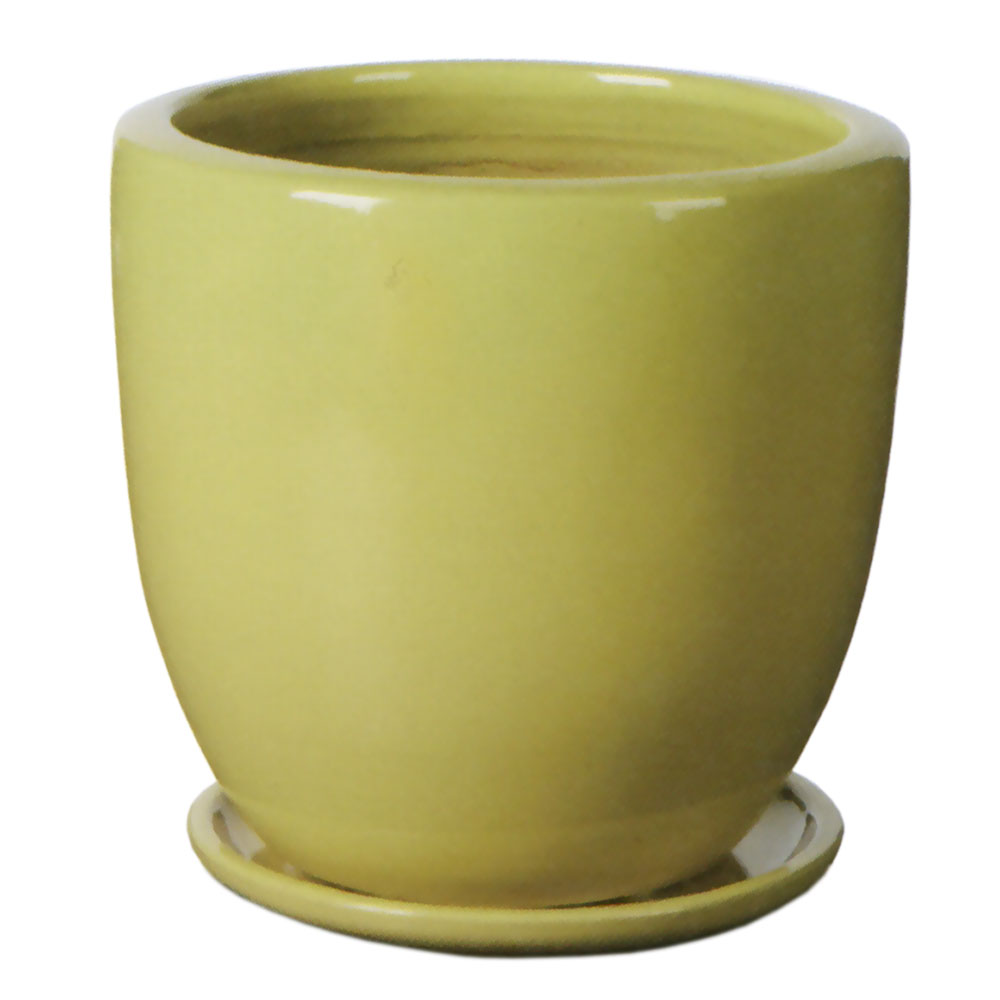 植木鉢 おしゃれ 大型 受け皿付き プランター 人気 おすすめ 観葉植物