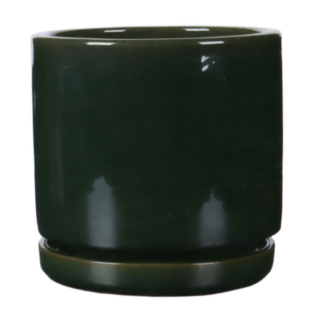 植木鉢 おしゃれ 大型 受け皿付き プランター 人気 おすすめ 観葉植物