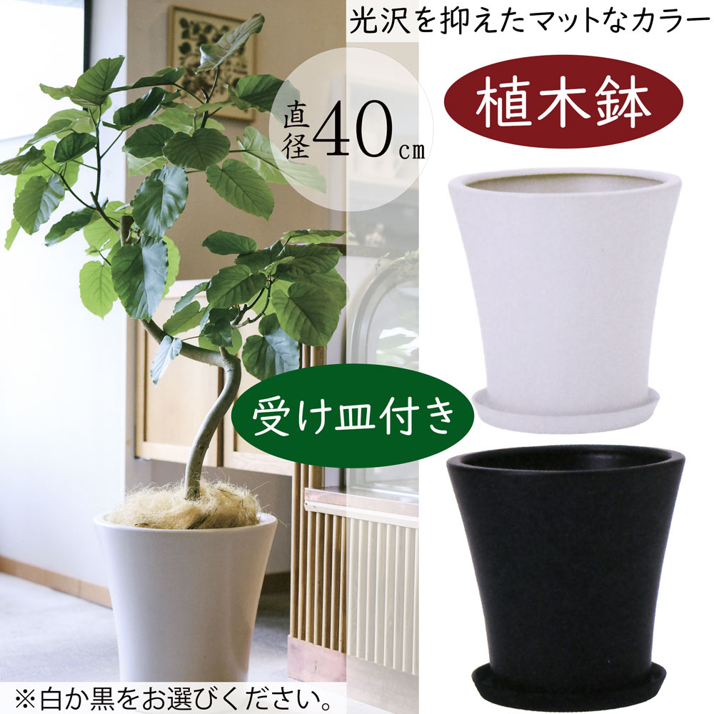 植木鉢 おしゃれ 大型 プランター 観葉植物 モダン WY15 マット釉