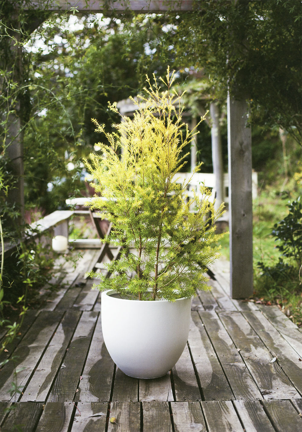 植木鉢 おしゃれ 大型 プランター 観葉植物 ファイバークレイ 人気