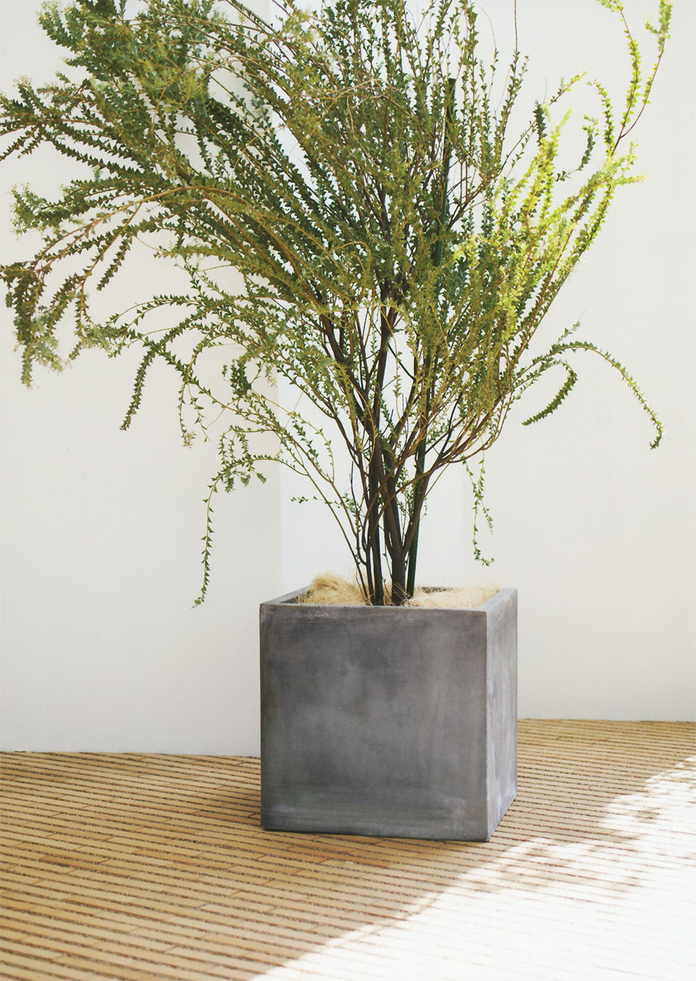 植木鉢 おしゃれ 大型 プランター 観葉植物 人気 おすすめ