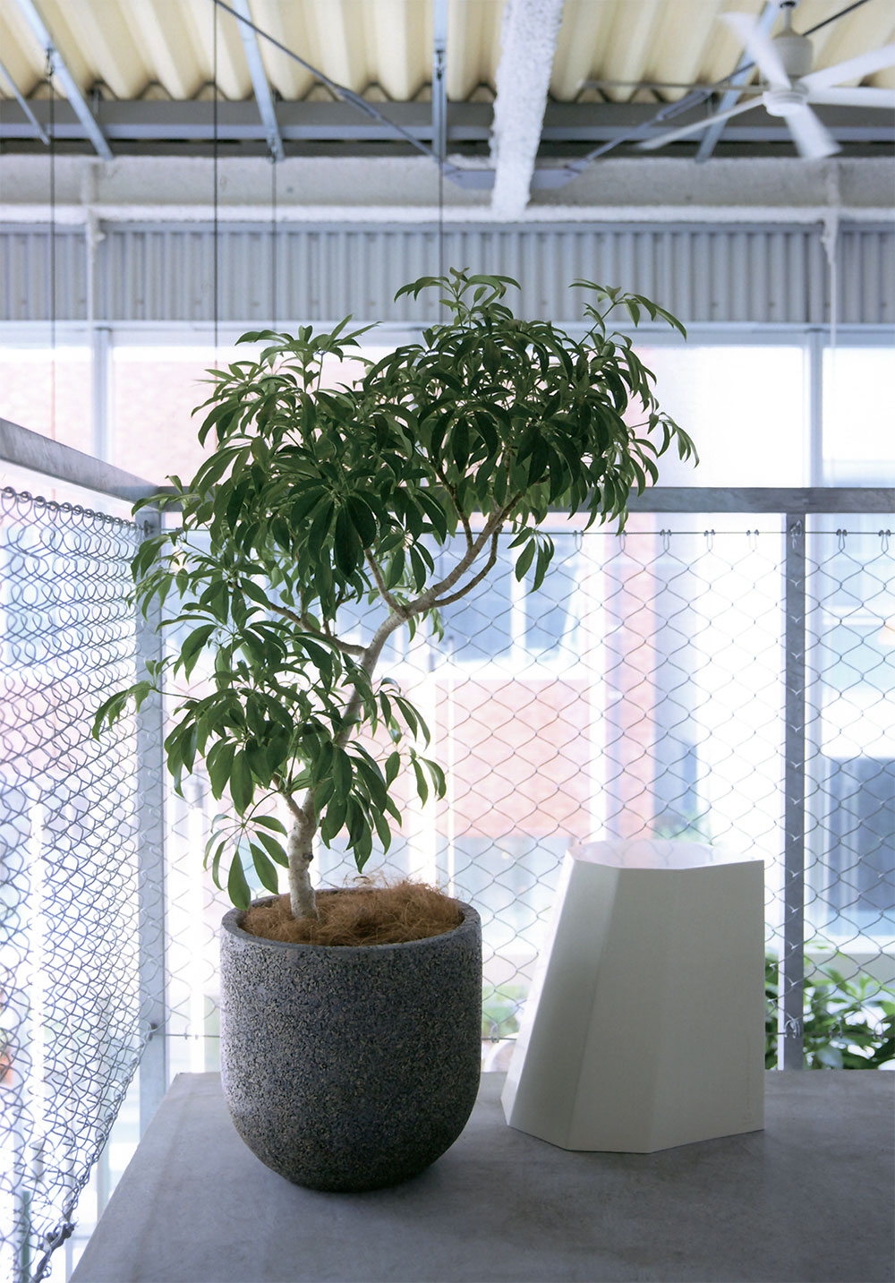 鉢カバー プランターカバー 大型 おしゃれ 人気 観葉植物 インドア