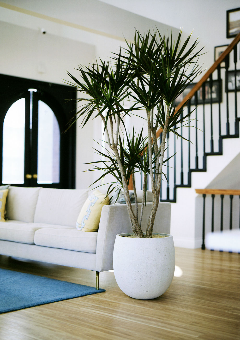 鉢カバー おしゃれ 大型 プランター 観葉植物 人気 おすすめ