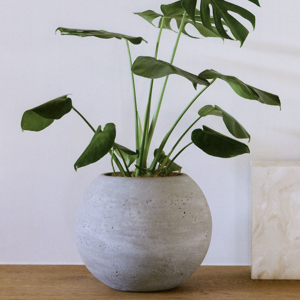 鉢カバー おしゃれ 大型 プランター 観葉植物 人気 おすすめ