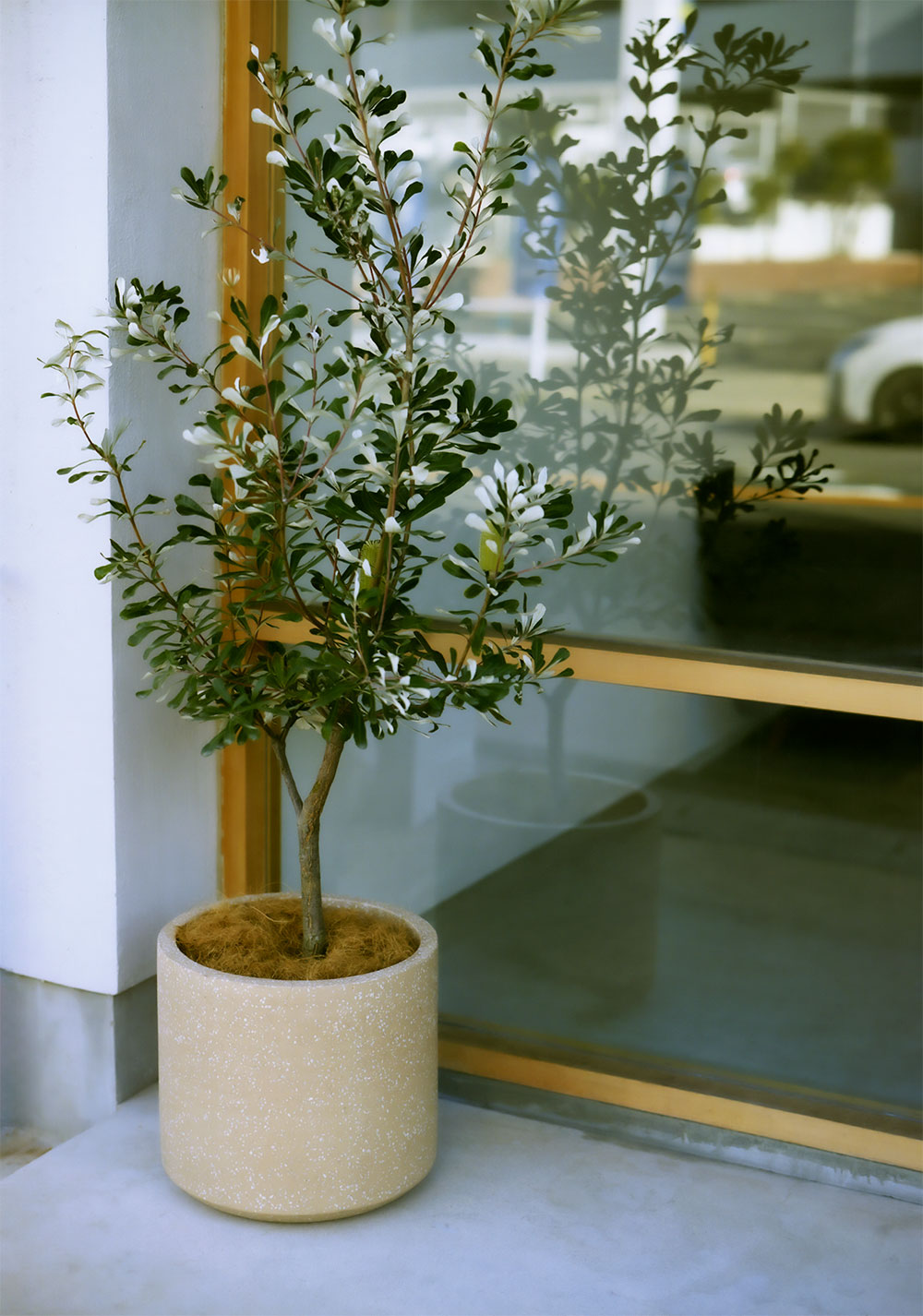 植木鉢 おしゃれ プランター 観葉植物 ポット 園芸 ガーデニング