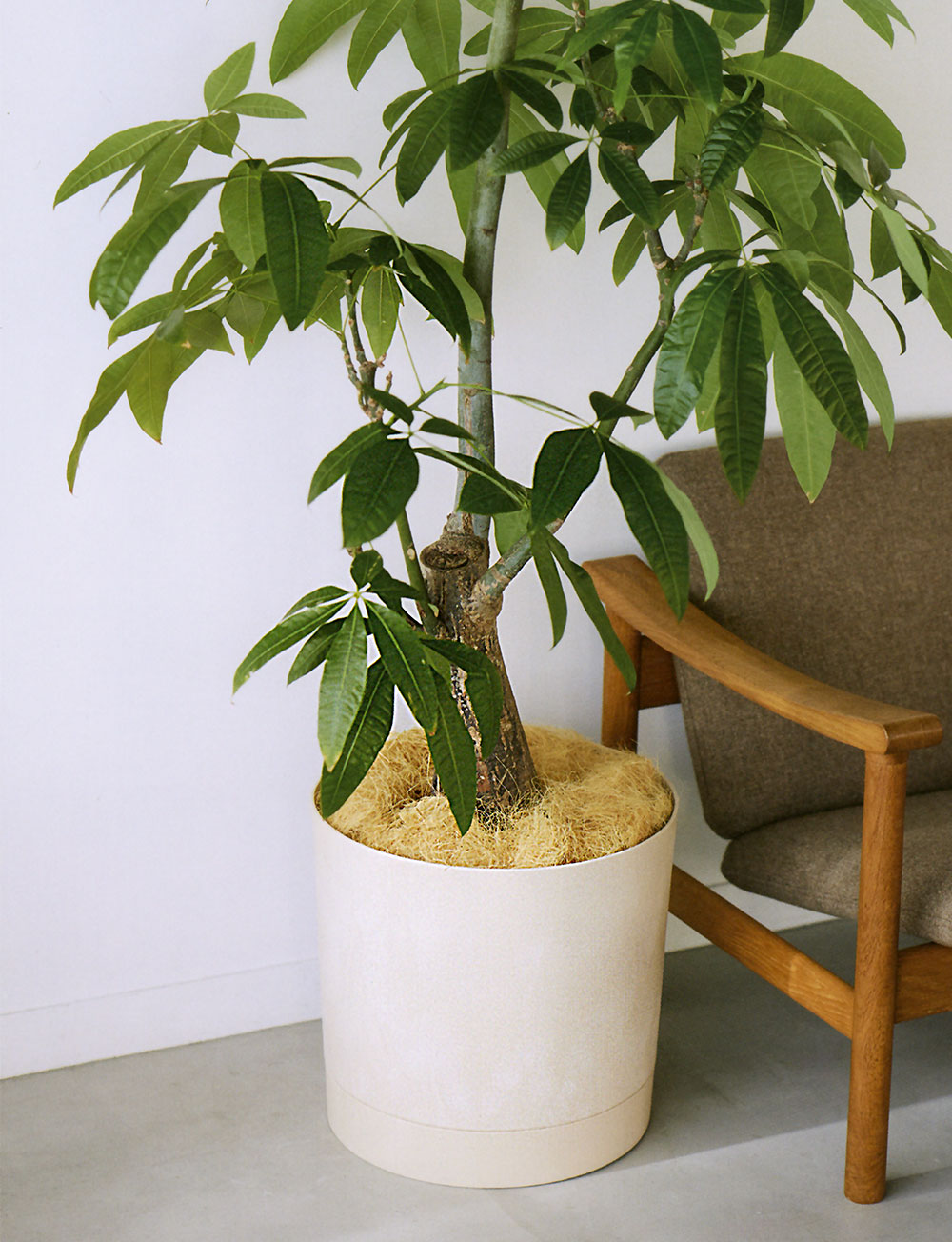 植木鉢 大型 おしゃれ 人気 おすすめ プランター 受け皿付き 軽量