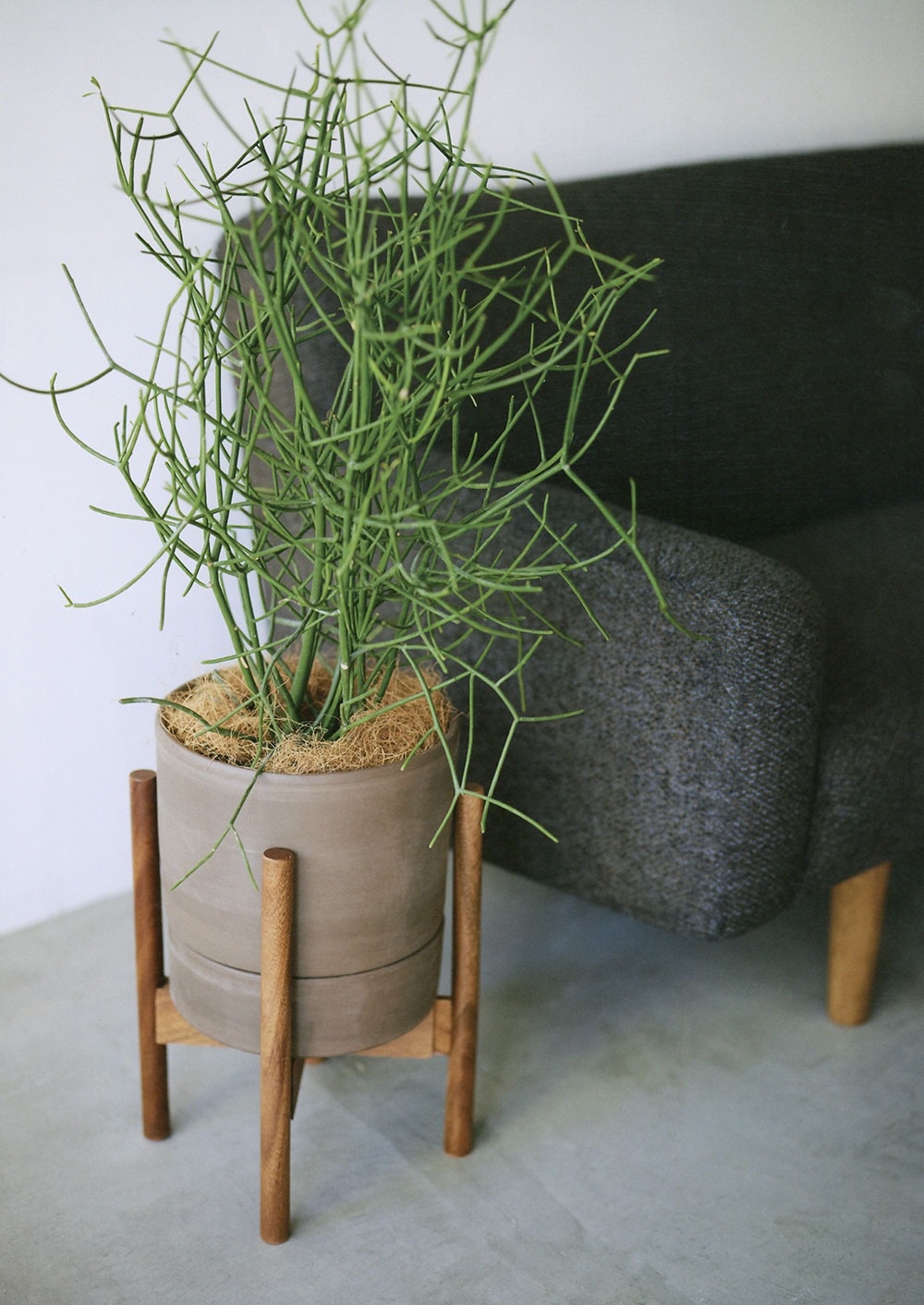 植木鉢 受け皿付き テラコッタ おしゃれ 人気 おすすめ プランター