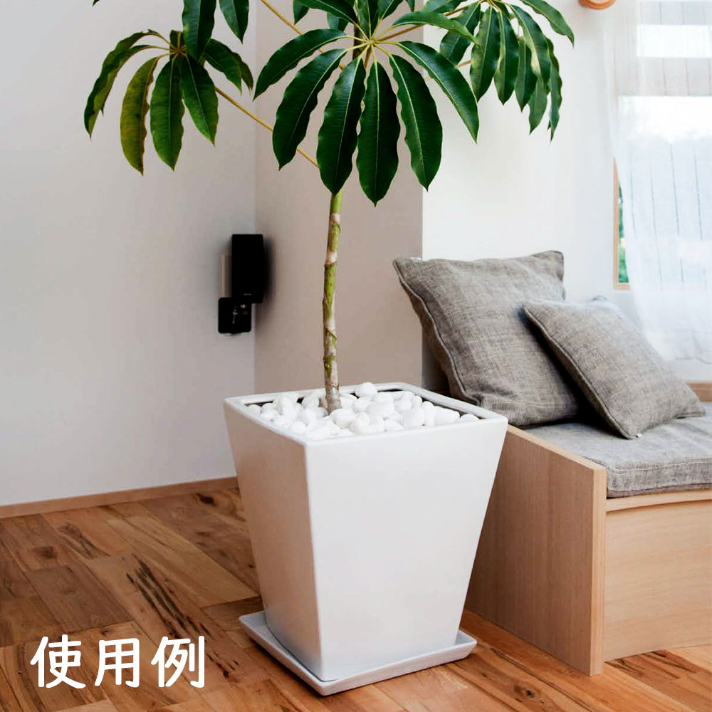 受け皿 おしゃれ ソーサー お皿 白 黒 ホワイト ブラック 人気