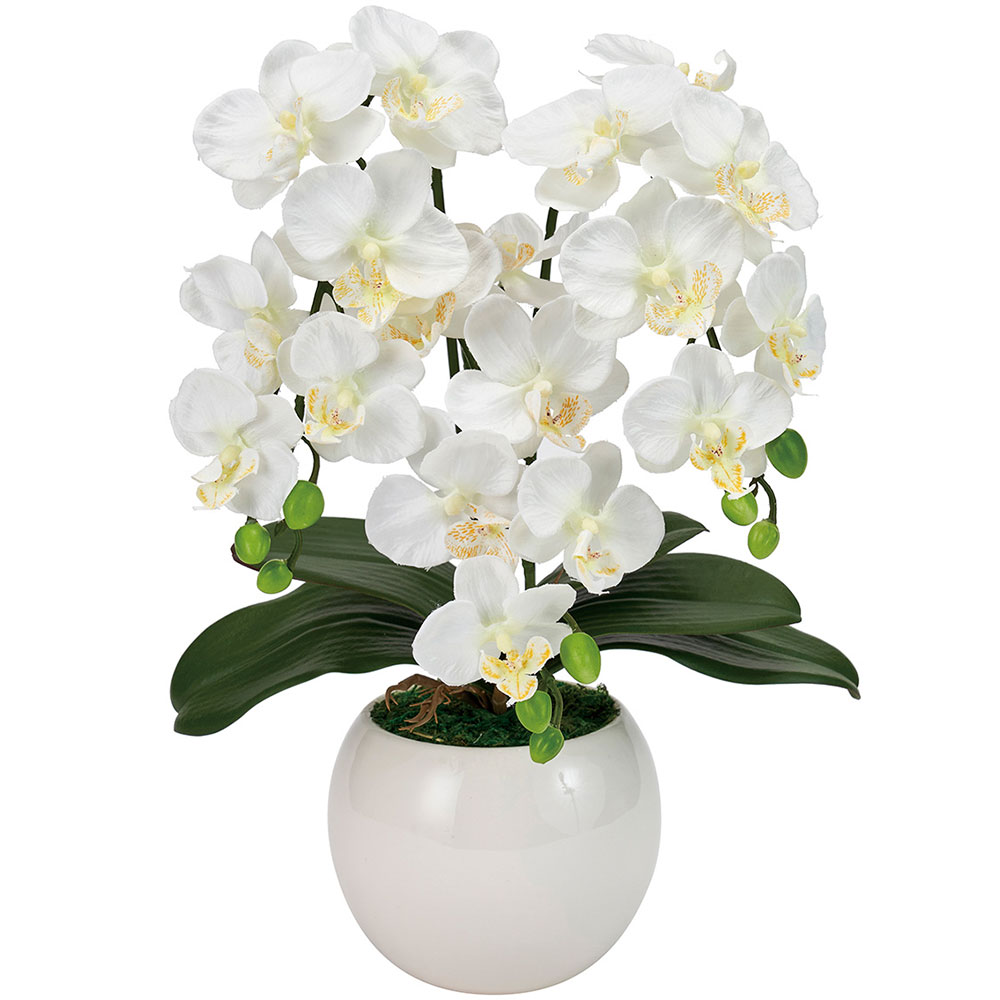 【美品】光触媒加工 胡蝶蘭(造花) & 彫刻入り 木製 飾り台 花台 光触媒 造花 胡蝶蘭 中型 白 3F 花台 アイアン花台02 | 移転祝い