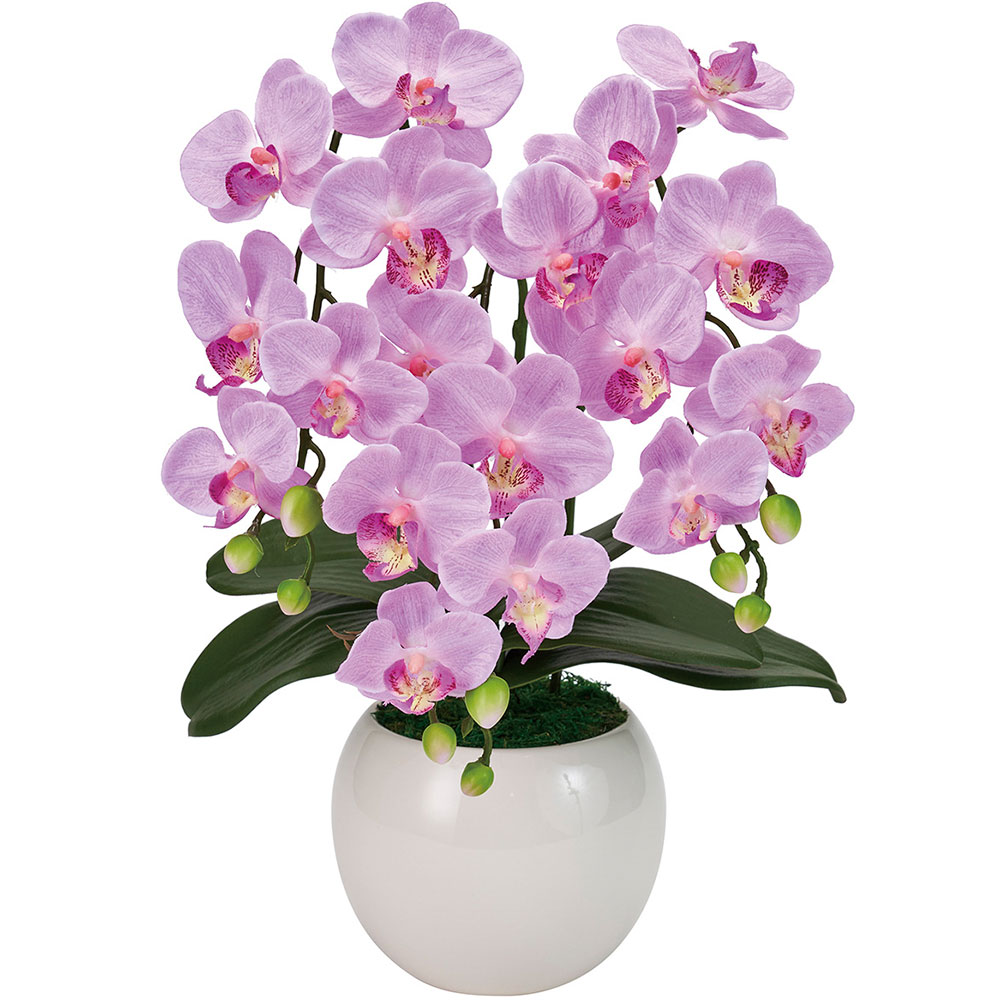 胡蝶蘭 鉢花 3本立 オーキッド おしゃれ 造花 リアル 人気 おすすめ