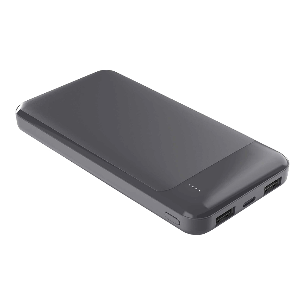 ラスタバナナ モバイルバッテリー 10000mAh 3ポート タイプC タイプA