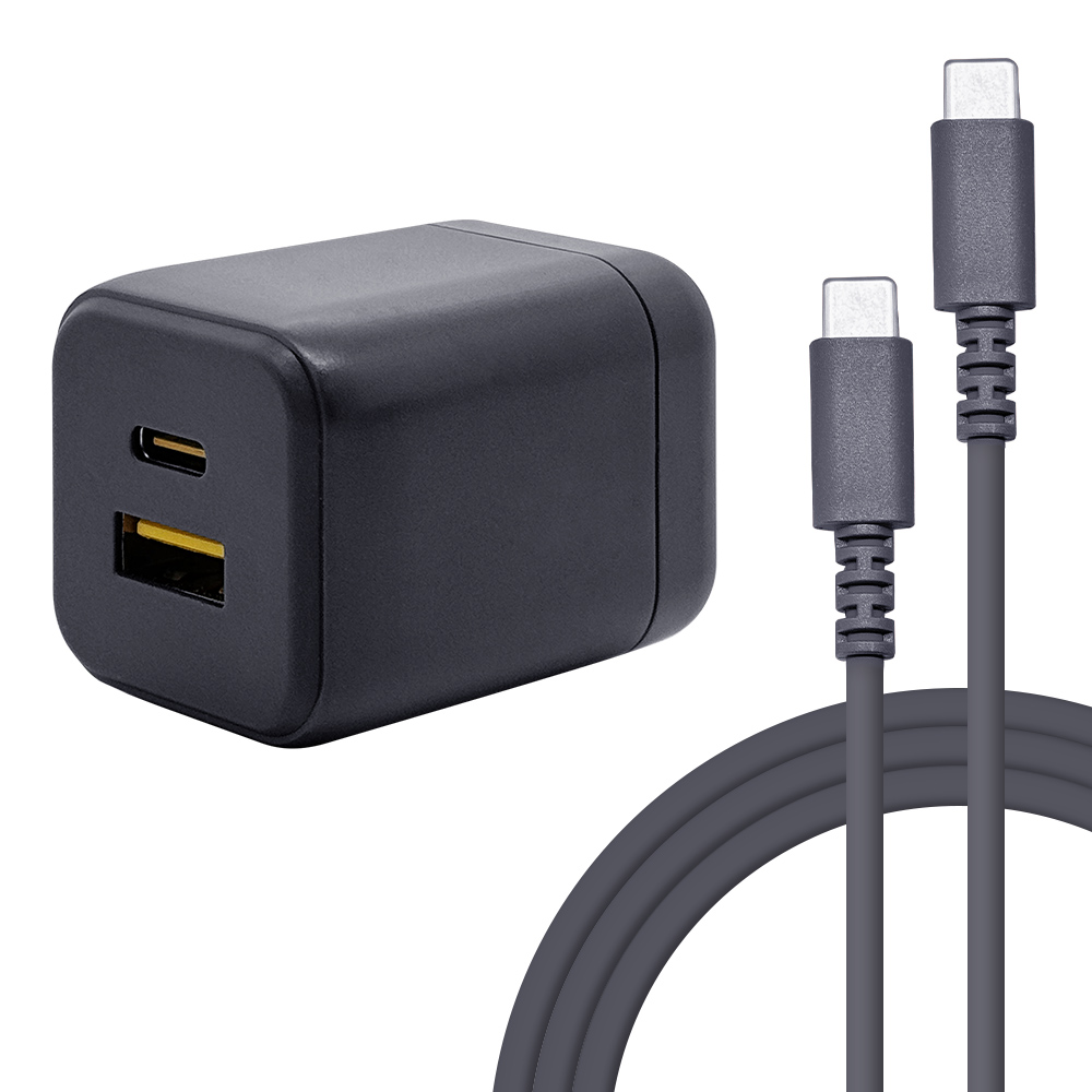 ラスタバナナ 充電器 ACアダプター AC充電器 ケーブル付き