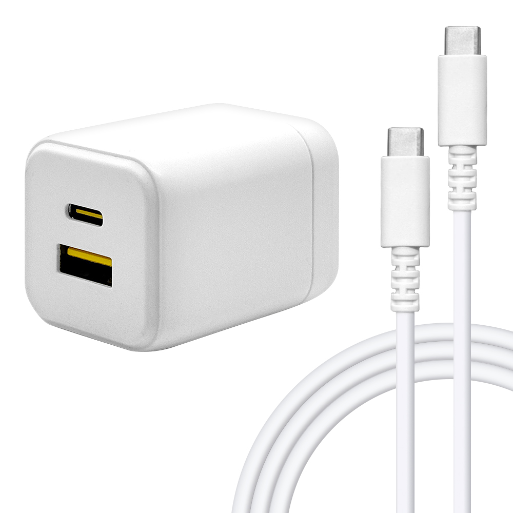 ラスタバナナ 充電器 ACアダプター AC充電器 ケーブル付き タイプC