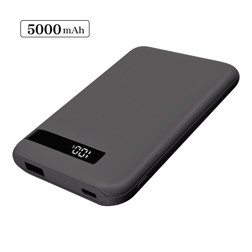 ラスタバナナ モバイルバッテリー 5000mAh 2ポート タイプC タイプA