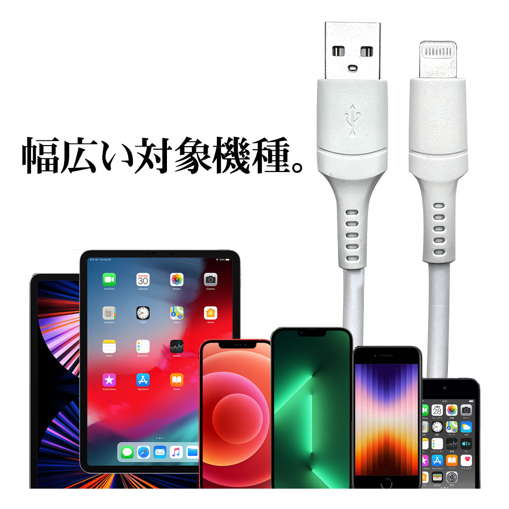 iPad（第7世代） - Lightning - 充電アクセサリ - すべての
